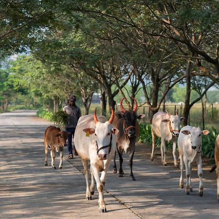 Sterling Stolen Heaven Lonavala Hotel Eksteriør billede