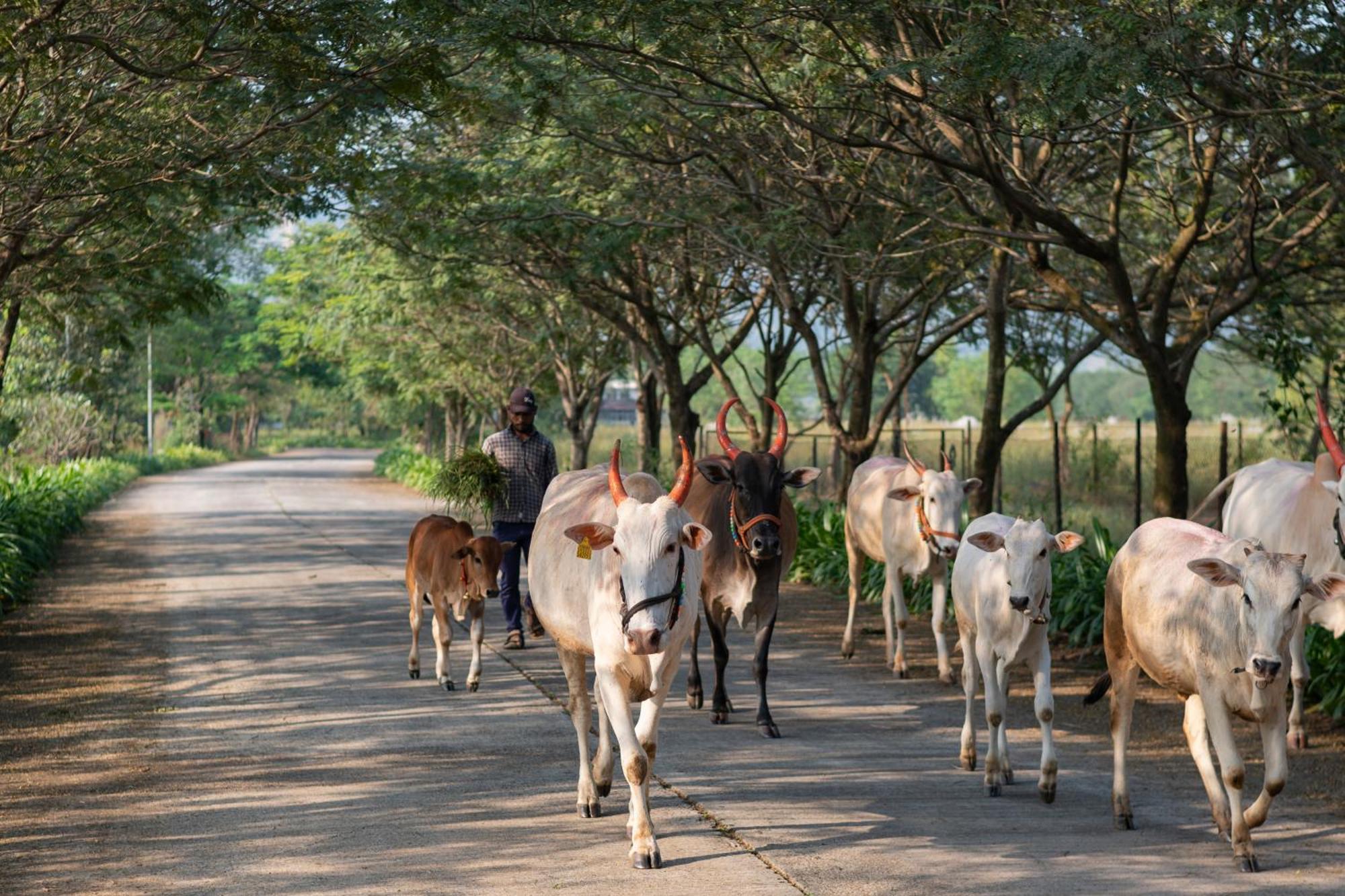 Sterling Stolen Heaven Lonavala Hotel Eksteriør billede